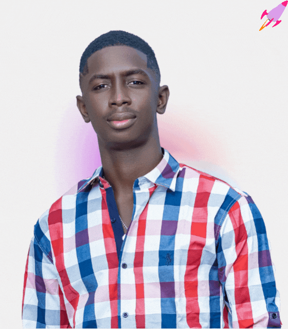 CHIEF EXECUTIVE OFFICER